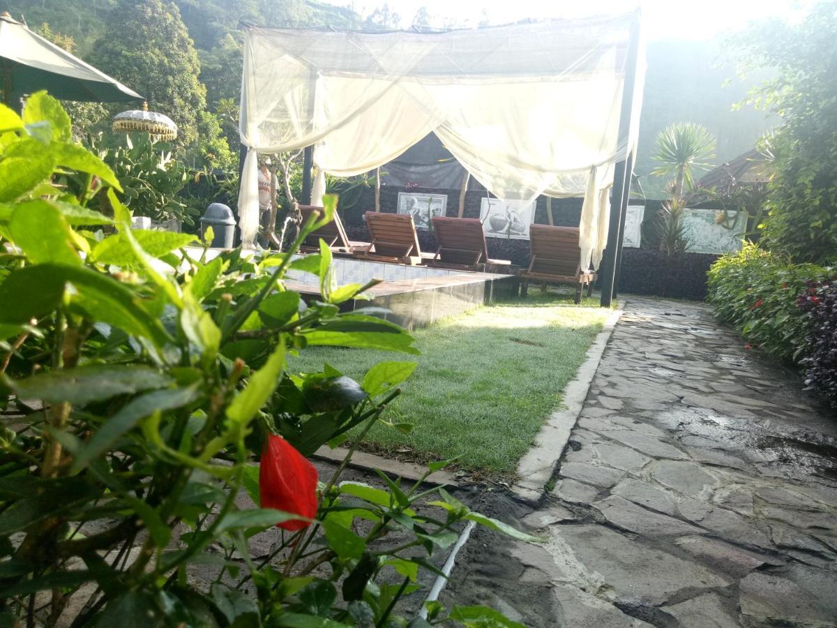 Bunbulan Hill Hostel And Cottage Kintamani Eksteriør bilde